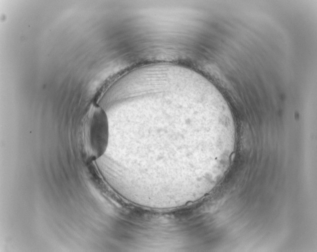 X0000088650683200706221611