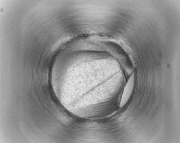 X0000088650685200706221611