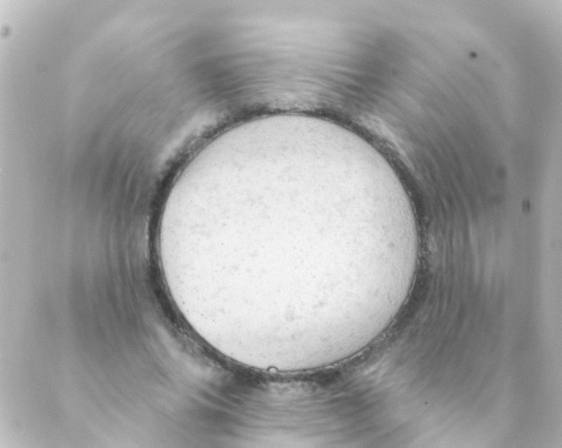 X0000088650686200706221611