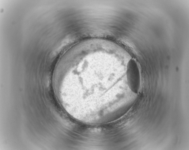 X0000088650687200706221611