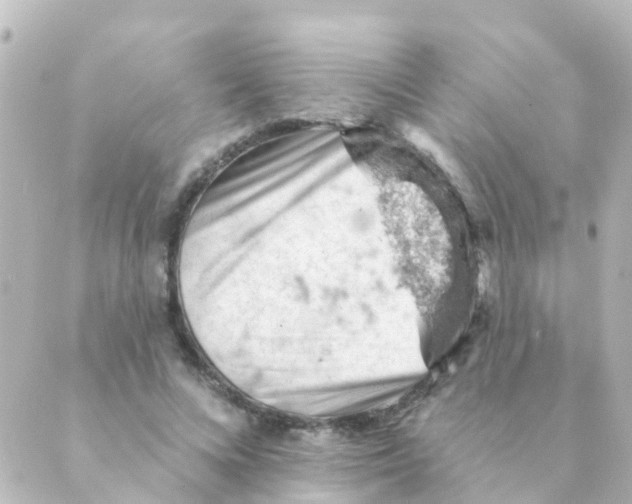 X0000088650688200706221611