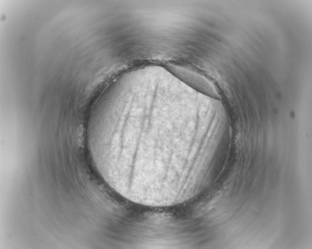 X0000088650689200706221611