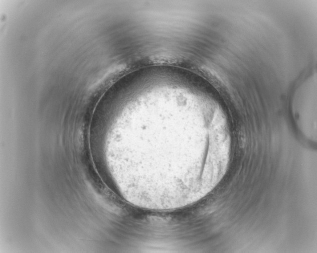 X0000088650690200706221611