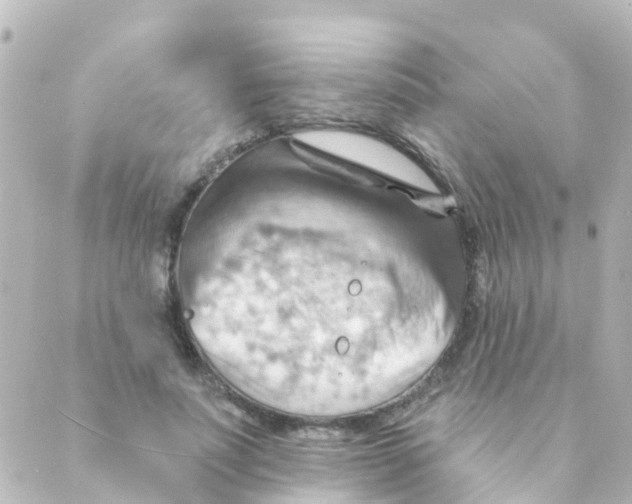 X0000088650691200706221611