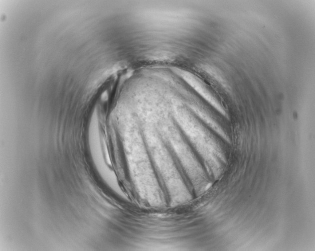 X0000088650692200706221611