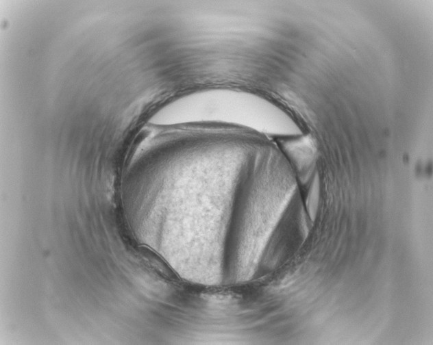 X0000088650693200706221611