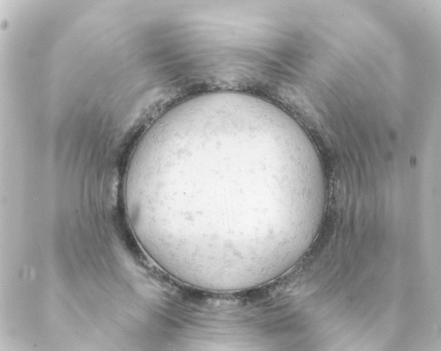 X0000088650694200706221611