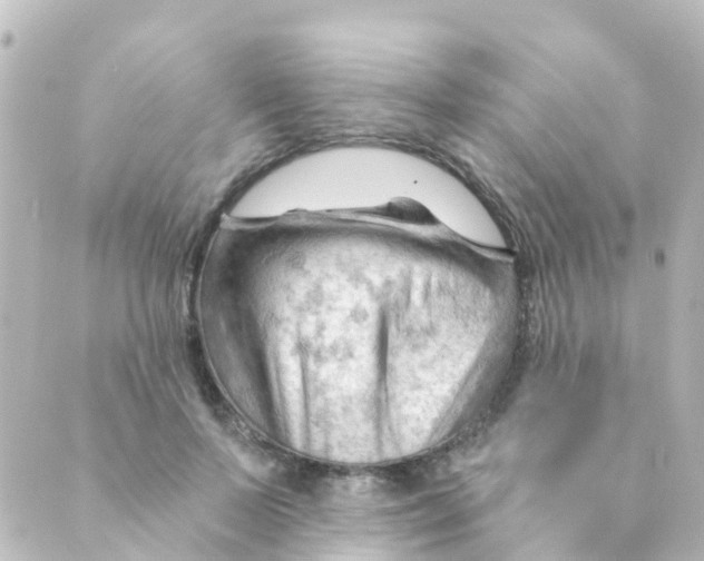 X0000088650695200706221611