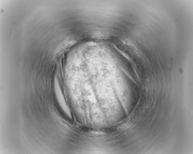 X0000088650696200706221611