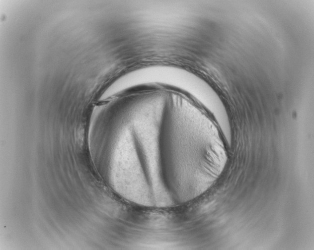 X0000088650697200706221611