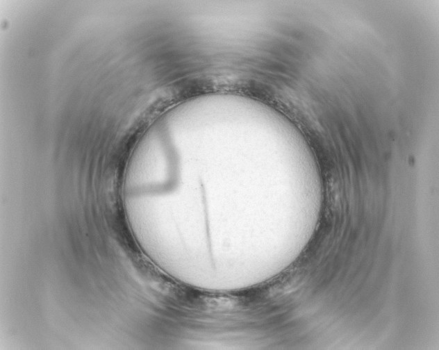 X0000088650698200706221611