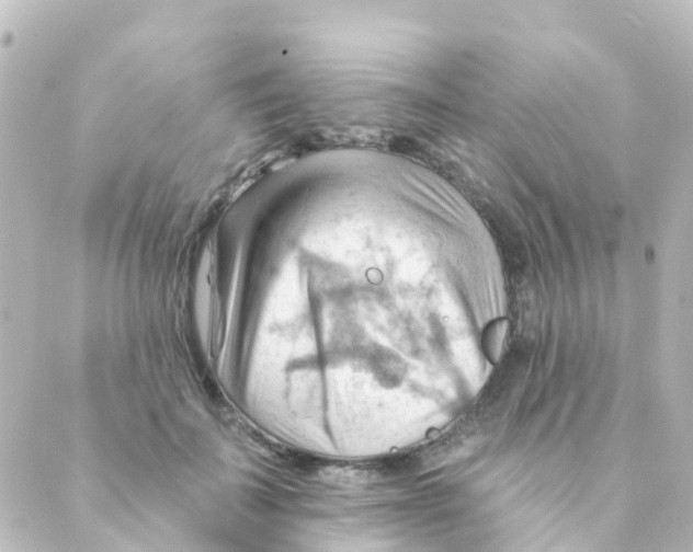 X0000088650699200706221611