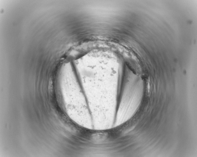 X0000088650700200706221611