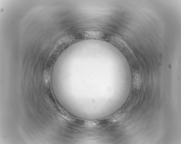 X0000088650701200706221611