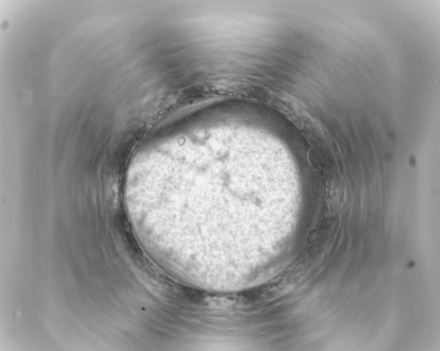 X0000088650703200706221611