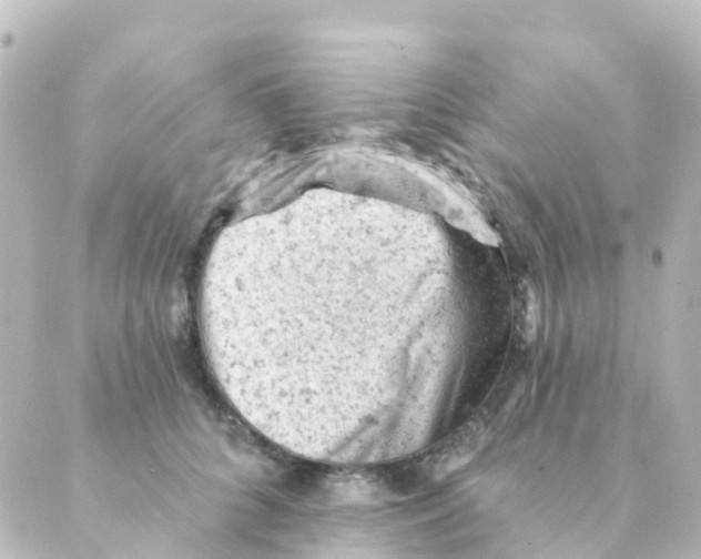 X0000088650704200706221611