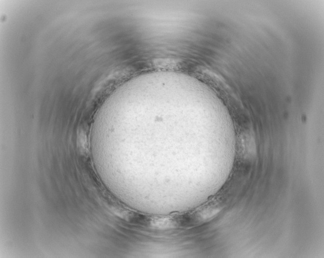 X0000088650705200706221611