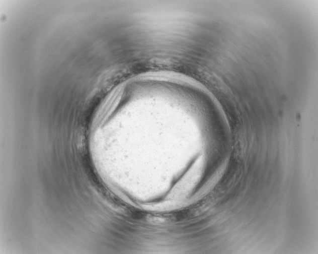 X0000088650706200706221611