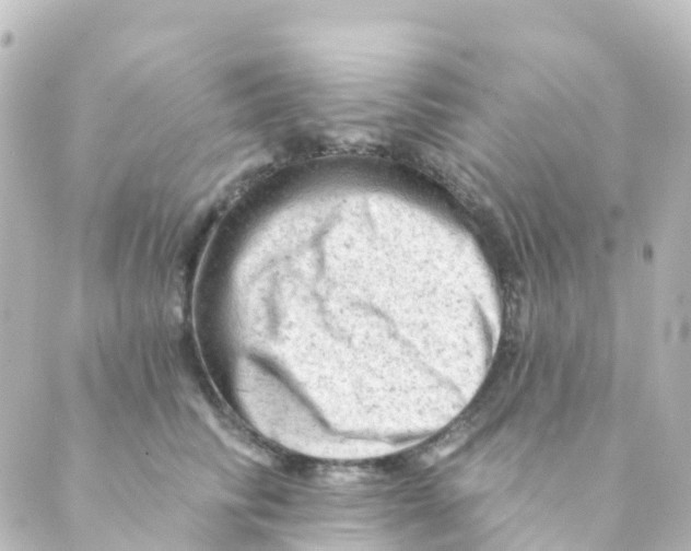 X0000088650710200706221610