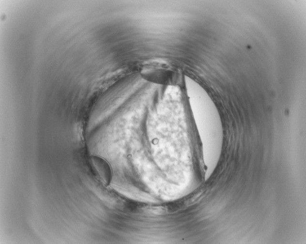 X0000088650711200706221610