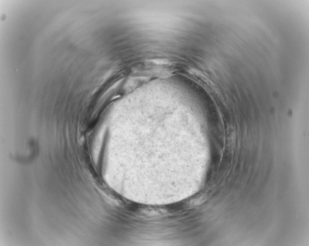 X0000088650712200706221610