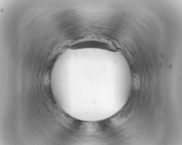 X0000088650713200706221610