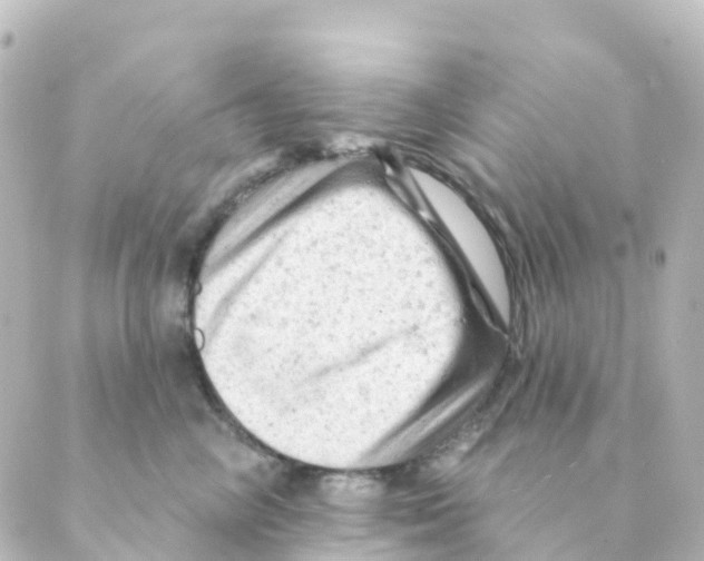 X0000088650714200706221610