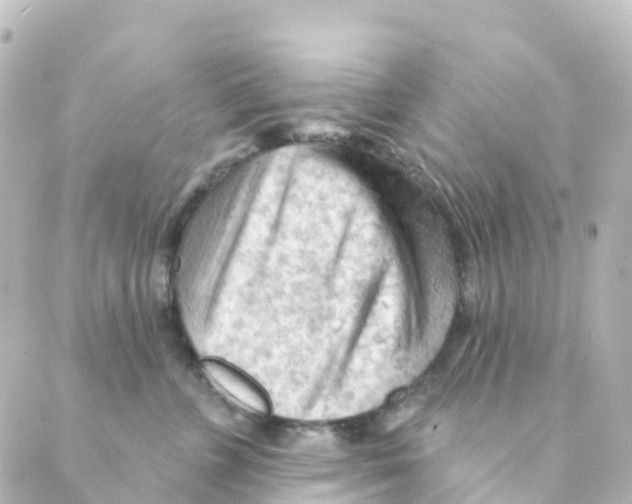 X0000088650715200706221610