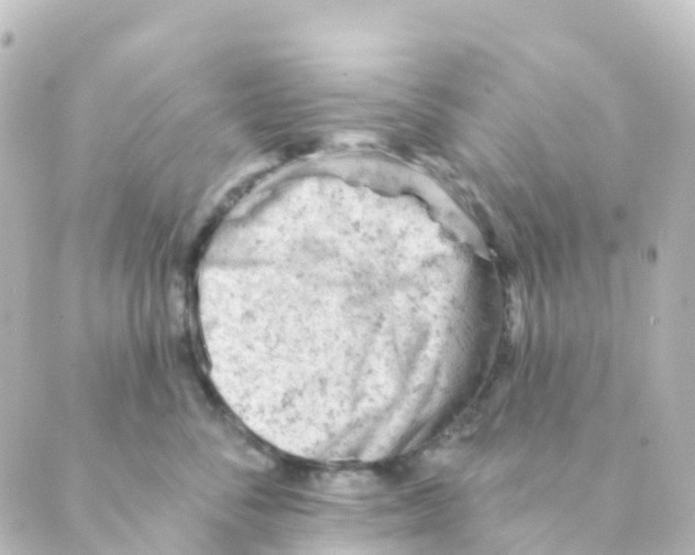 X0000088650716200706221610