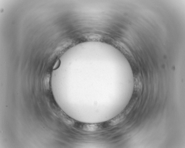 X0000088650717200706221610