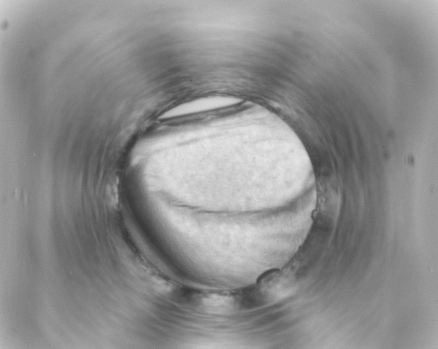 X0000088650718200706221610