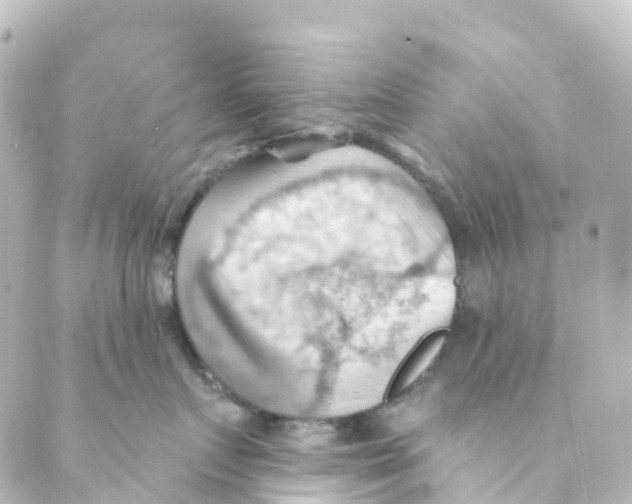 X0000088650719200706221610