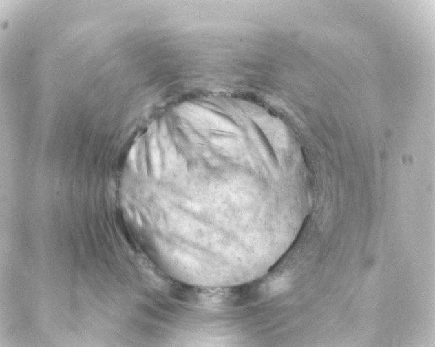 X0000088650720200706221610