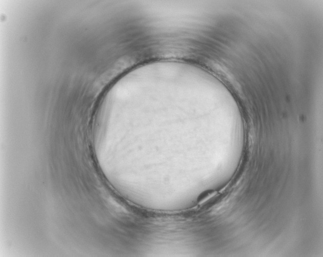 X0000088650721200706221610