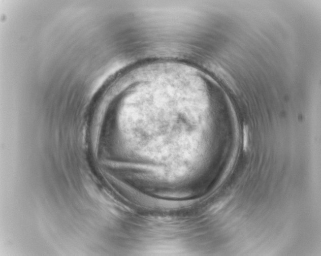 X0000088650723200706221610