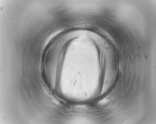 X0000088650724200706221610