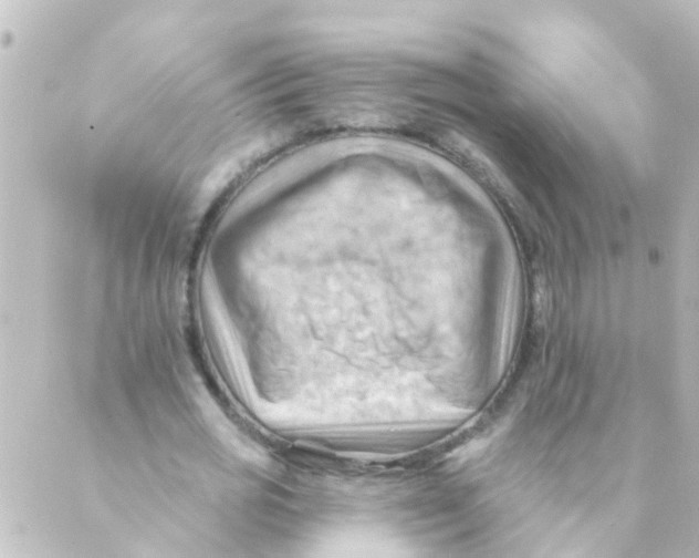 X0000088650725200706221610