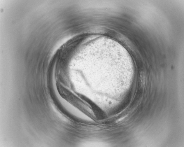 X0000088650726200706221610