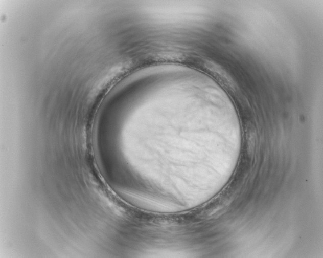 X0000088650729200706221610