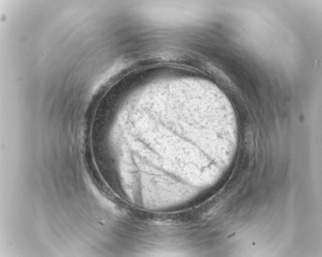 X0000088650730200706221610