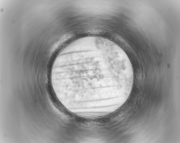 X0000088650734200706221610