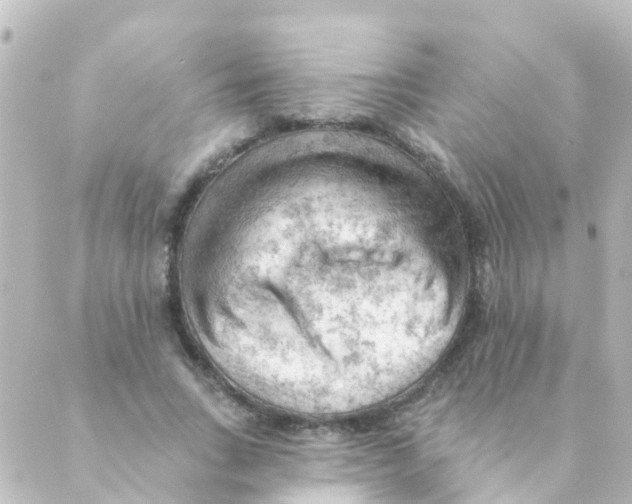 X0000088650735200706221610