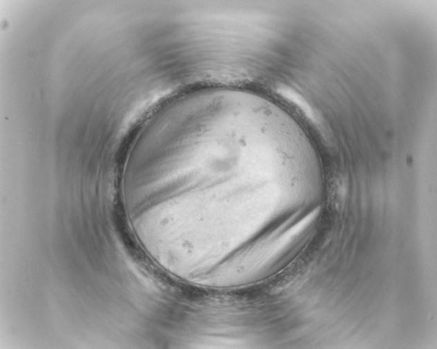 X0000088650736200706221610