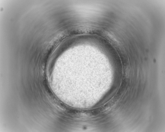 X0000088650737200706221610