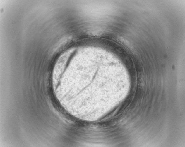 X0000088650738200706221610