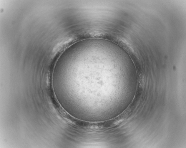 X0000088650740200706221610