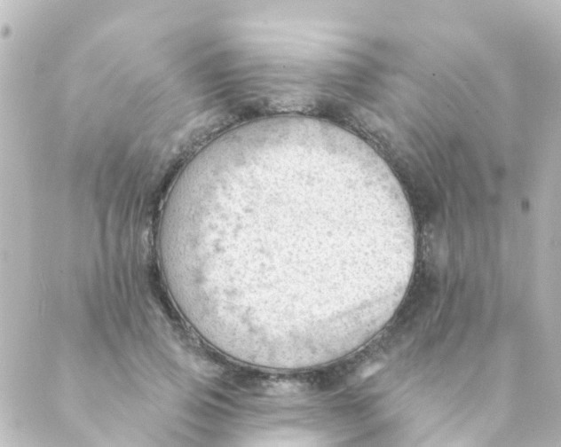 X0000088650741200706221610