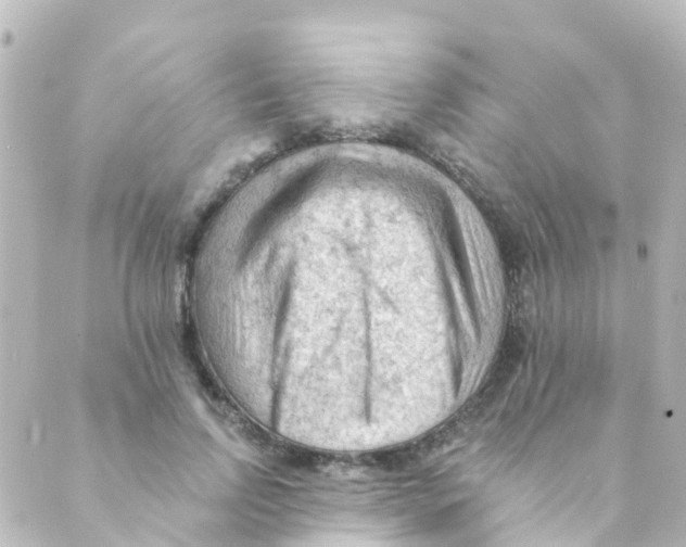 X0000088650742200706221610