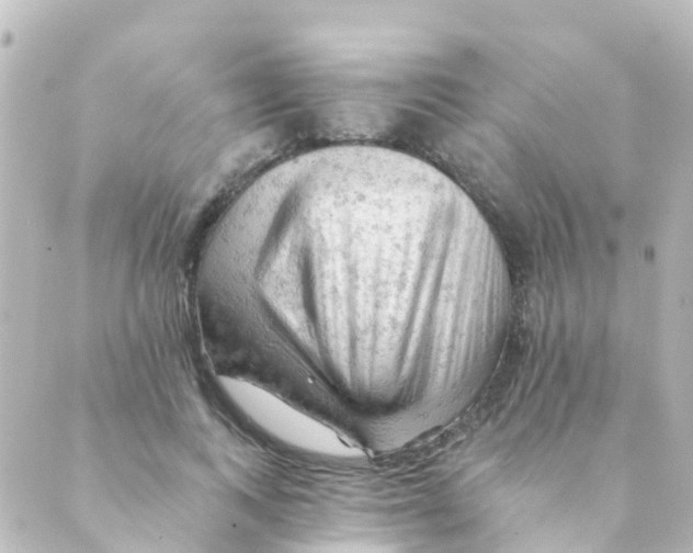 X0000088650743200706221610