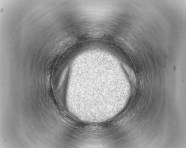 X0000088650745200706221610